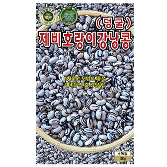  제비 호랑이 강낭콩씨앗 30g