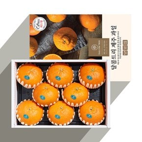 [산지직송] 고당도 레드향 3kg (10-15과)