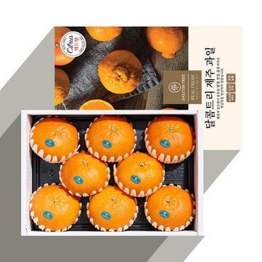 달콤트리 [산지직송] 고당도 레드향 3kg (10-15과)