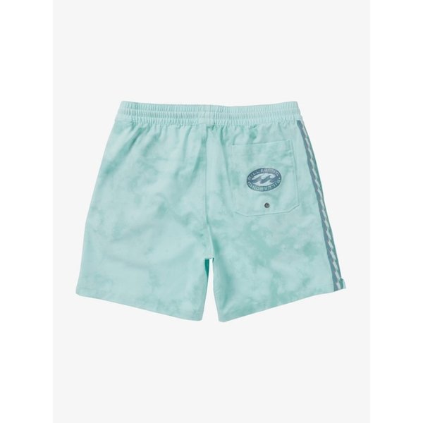 D BAH TAPED 17인치 보드쇼츠 (AF11BS027SKY)