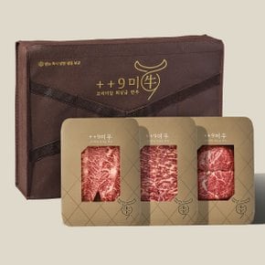 [바로배송][냉장] 1++No9등급 투뿔 한우 혼합 3호 선물세트 600g (부채 200g/채끝 200g/국거리 200g)