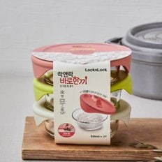 바로한끼 밥용기 355ml*3P