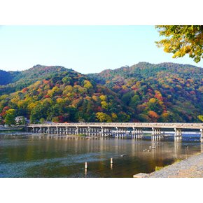 오사카/나라 3일 하루는 내맘대로 1일자유 오후 출발 자유로운일정 사슴의 도시나라 도톤보리