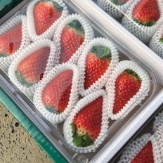 농부마음 달콤한 산지직송 논산 킹스베리 특 400g (10-13과) x 1팩