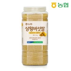 하나로라이스 농협 상황 버섯쌀 2.2kg