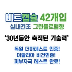 비트 실내건조 캡슐 세제 42개입 3세트 이불 속옷 수건 땀냄새 제거 미세먼지 빨래 세탁 세제