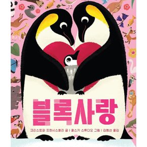 (크리스토퍼 프랜시스첼리) 블록사랑 양장 보드북