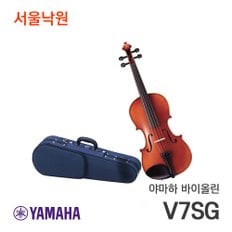 바이올린 V7SG/서울낙원