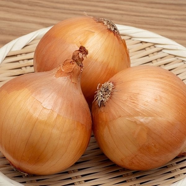확대된 대표 image1