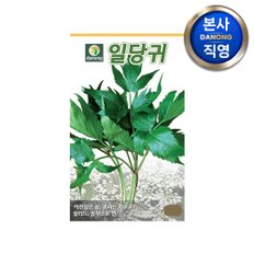 일당귀 씨앗 3g . 잎당귀 채소 야채 텃밭 파종 재배 주말 농장 씨 종자