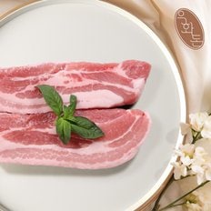 [냉장]프리미엄 보성녹돈 삼겹살 칼집용 500g