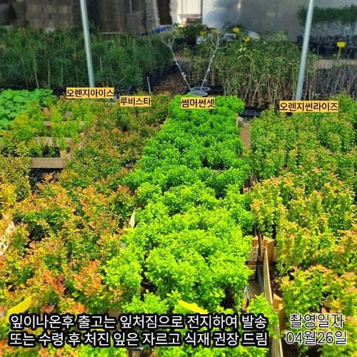 상품이미지3
