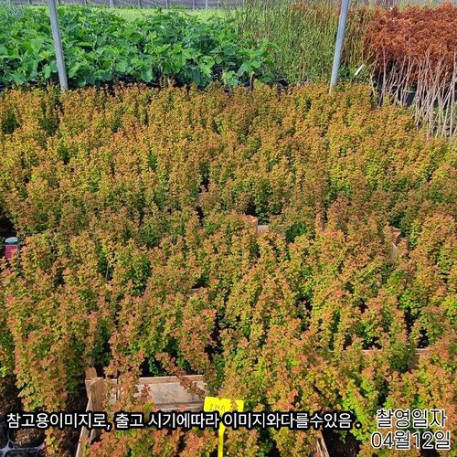 상품이미지5
