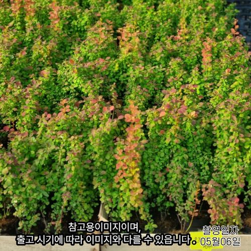 상품이미지6
