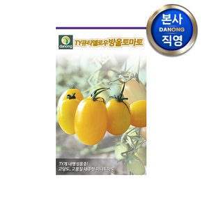 TY큐티옐로우 토마토 씨앗 1000립 . 내병계 텃밭 채소 씨 종자 주말 농장