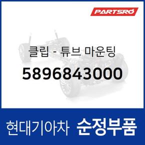 클립-튜브 마운팅 (5896843000) 스타렉스, 그레이스, 리베로, 포터, 스타렉스 특장 현대모비스부품몰