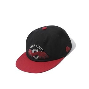 season motif straight brim ball cap_CARAX24051REX