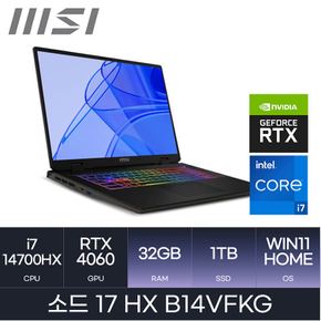 소드 17 HX B14VFKG (WIN11 HOME/SSD 1TB/RAM 32GB) HMC