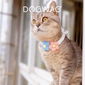 도그웨그 꽃개냥 강아지 고양이 목걸이.도그웨그