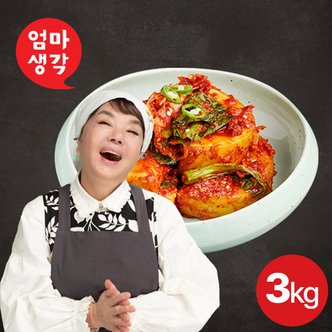  김수미 엄마생각 갓석박지3kg