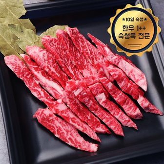 웰굿 [냉장][숙성육]1++(9)등급 숙성한우 갈비살 1kg