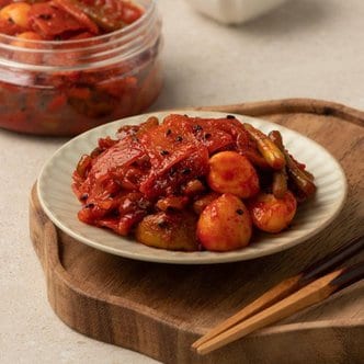 하나원 모듬장아찌S 150g