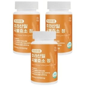 건강머금 호라산밀 카무트 곡물 발효 효소 60정 x 3병