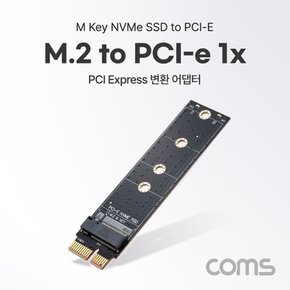 PCI Express 변환어댑터 M.2 NVMe 일자형 SW522