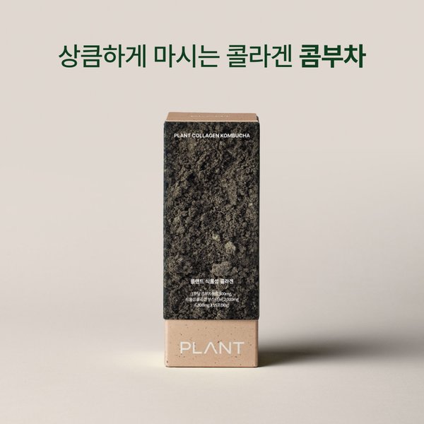플랜트 식물성 비건 콜라겐 콤부차 15포 1박스