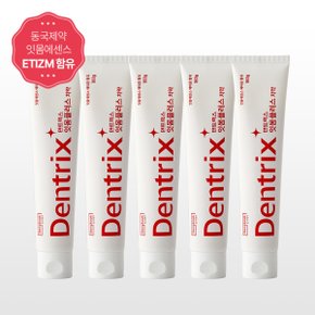 덴트릭스 잇몸플러스 치약 160g 5개_AB_스타배송(판)