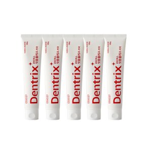 덴트릭스 잇몸플러스 치약 160g 5개_AB_스타배송(판)