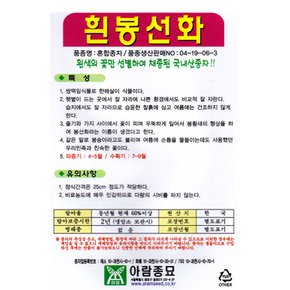 흰봉선화 씨앗 100립 흰봉숭아 씨 꽃씨 종자 흰꽃