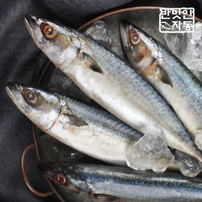 [안동맛자반] 안동간고등어 400g 5손 (10마리)