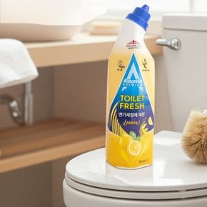 변기 클리너 세정제 레몬 750ml 요석 석회 욕실청소 세제 악취 물때 제거 세정제