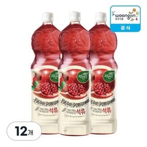 자연은 석류 1.5L, 12개