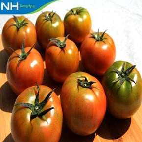 국내산 창녕 찰토마토 5kg(2S)
