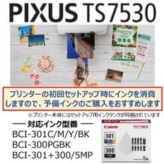 Canon A4 PIXUS TS7530 BCI-300301 프린터 잉크젯 복합기 화이트 2021년 모델 텔레워크용