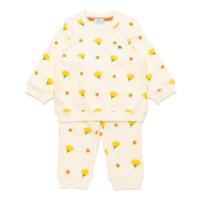 [여주점] [오프라벨 여주점] 블루독베이비 (IV) 플라워상하세트 (44C70-672-13)