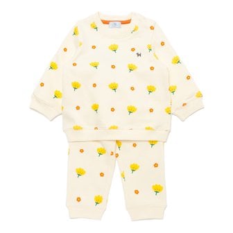 블루독베이비 [여주점] [오프라벨 여주점] 블루독베이비 (IV) 플라워상하세트 (44C70-672-13)