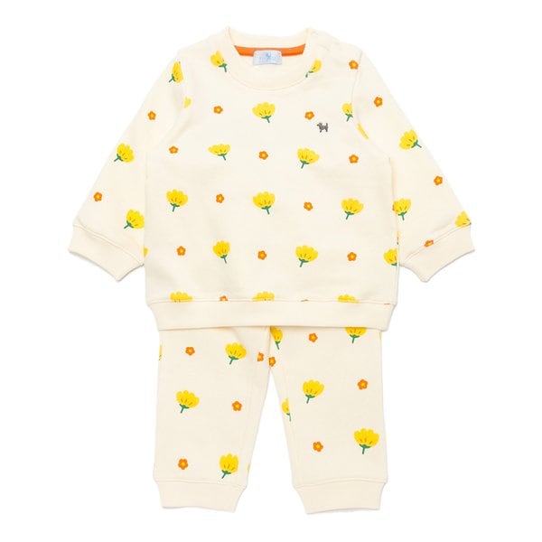 [여주점] [오프라벨 여주점] 블루독베이비 (IV) 플라워상하세트 (44C70-672-13)