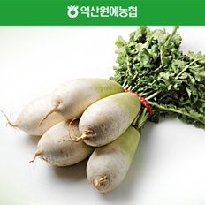 [농협] 신선 김장 다발무 5kg(특)