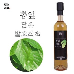 제이큐 식초 기타식초 조미료 자연비초/뽕잎 담은 발효식초 무설탕 500ml