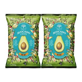 테몰 아보카도칩 씨솔트맛 40g x 2개