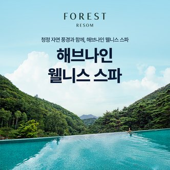 리솜리조트 [제천] 해브나인 웰니스 스파 리솜 이용권 (12/20~2/28)