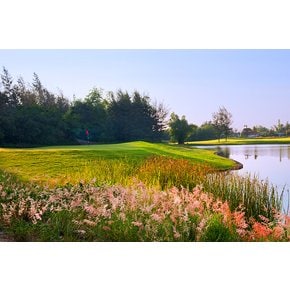 [다낭 GOLF] 몽고메리 Links 호텔&빌라 자유골프 54홀 5일 2인부터출발