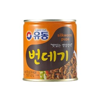  유동 번데기 통조림 280g X3개