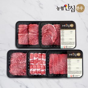 [냉장/냉동] 1등급 한우 소 한마리 구이세트 1kg (꽃등심/등심/채끝/차돌박이/실속구이) 대용량팩