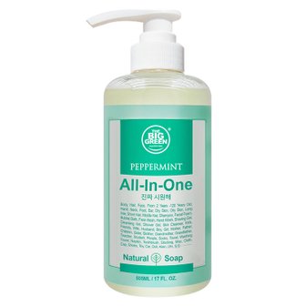 빅그린 All in One 내츄럴 솝_페퍼민트 505ml