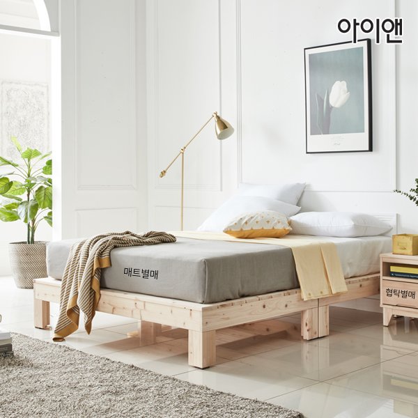 확대된 대표 대표이미지