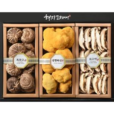 [형지표고버섯]백화고 혼합 2호 표고버섯선물세트 (335g/ 백화고+표고채+동고)